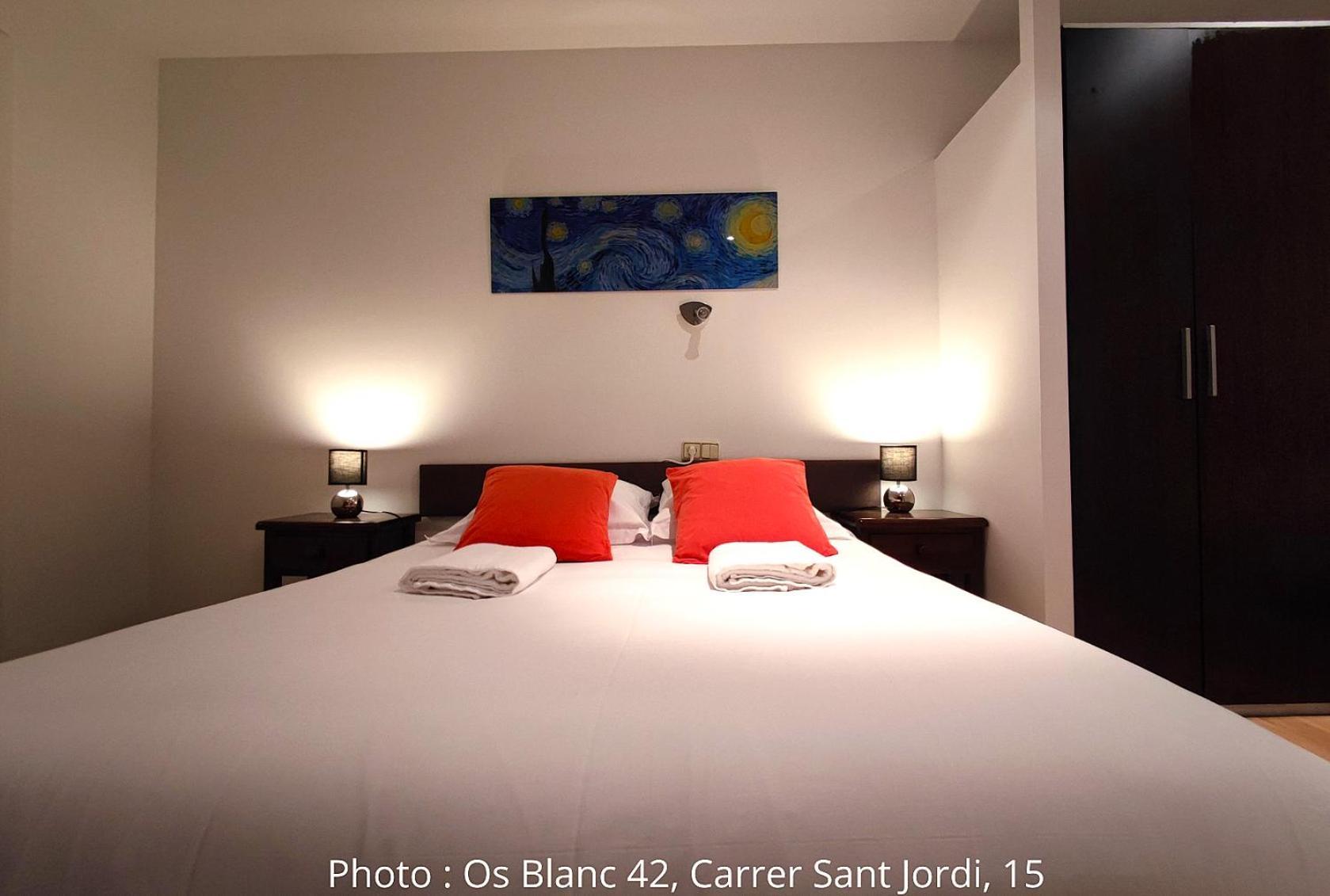 Ac Apartaments Centre Pas De La Casa Oda fotoğraf